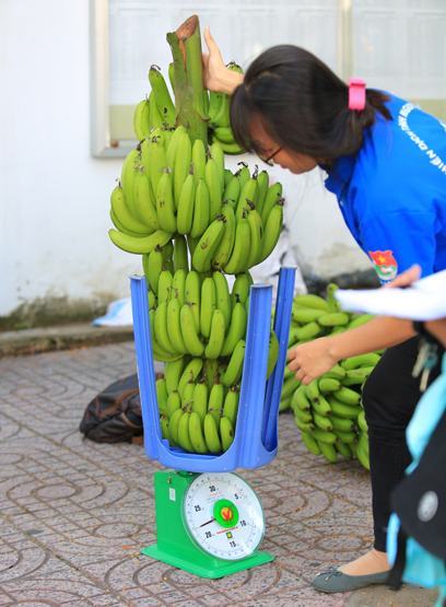 Sinh viên phụ bán hàng chục tấn chuối cho nông dân Đồng Nai