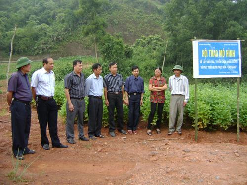 Hợp tác nghiên cứu ứng dụng KHCN trong nông nghiệp