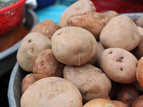 Khoai tây giúp xóa những quầng đen trên mắt, tẩy chất nhờn trên da mặt Ảnh: HOÀNG TRIỀU