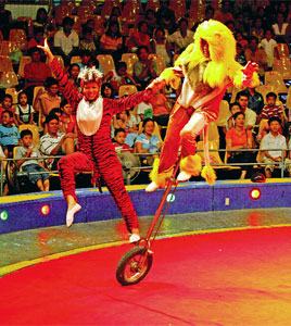 Đà Nẵng: Sẽ có rạp xiếc hiện đại bậc nhất Châu Á