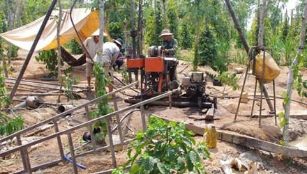 Đắk Lắk: Dự báo hạn khốc liệt từ cuối tháng 3