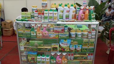 Đăk Lăk: Nhiều vi phạm về quản lý bảo vệ thực vật