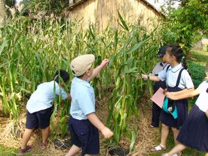 Đánh giá, xếp loại hiệu trưởng trường tiểu học 1 lần/ năm