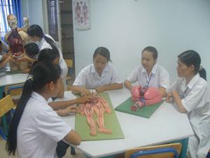 Đào tạo trung cấp ngành dược, điều dưỡng: Ra trường khắc khoải tìm việc