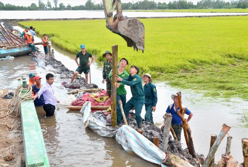 Đầu nguồn đồng bằng sông Cửu Long:“Quay cuồng” với lũ… bất thường