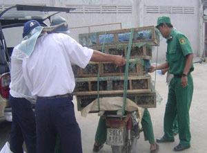 Đẩy mạnh kiểm tra phòng, chống dịch cúm gia cầm