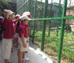 Dạy trẻ ứng phó khi gặp tình huống bất ngờ