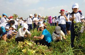 Để có kỳ nghỉ hè đúng nghĩa
