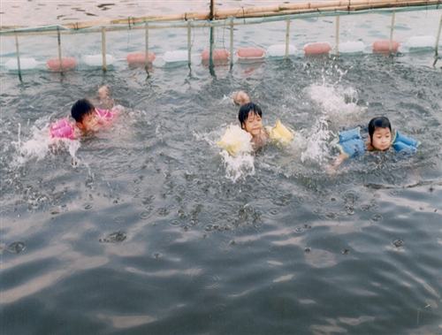 Đề nghị đưa Bơi lội vào môn học chính