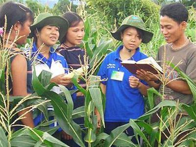 Đề nghị miễn học phí các trường nông lâm