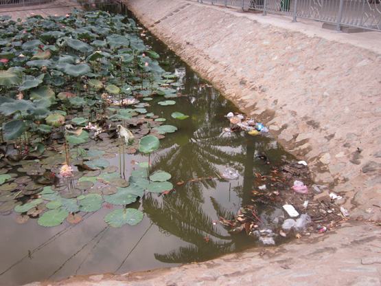 Đẹp mà không còn đẹp