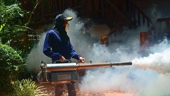 Dịch sốt xuất huyết lan rộng ở Bangkok