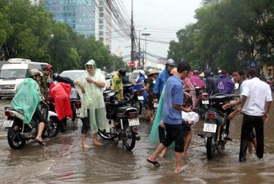 Dịch vụ ăn theo mưa hốt bạc