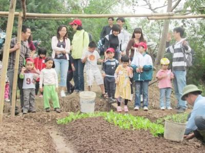 Dịch vụ chăm, dạy trẻ dịp hè