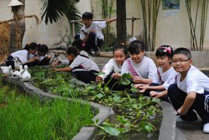 Diễn đàn: Giáo viên làm gì để có tiết dạy thành công?: Đừng xem nhẹ kỹ năng truyền đạt