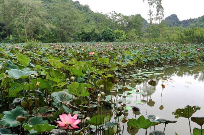 Đổi gió góc bình yên nơi suối Yến 