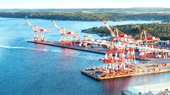 Đối phó dịch Covid-19, Mỹ thảo luận kế hoạch tái khởi động nền kinh tế