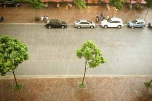 Đông Bắc Bộ nhiệt độ giảm nhanh, Nam Bộ nắng nóng