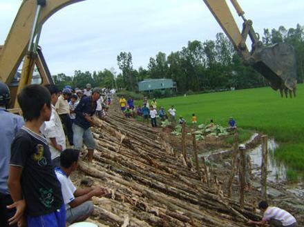 Đồng Tháp: Nhiều đê bao giữ lúa đang bị lũ uy hiếp