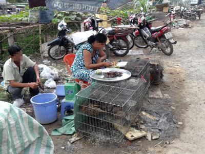 Động vật quý hiếm được bán công khai làm… món nhậu