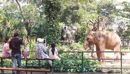 Kỷ niệm 150 năm thành lập Thảo Cầm Viên Sài Gòn