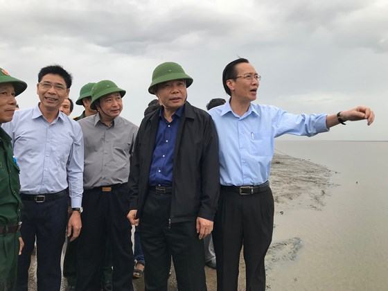 Dự báo bão số 9 vào thẳng TPHCM và sẽ gây ảnh hưởng nặng nề ảnh 1