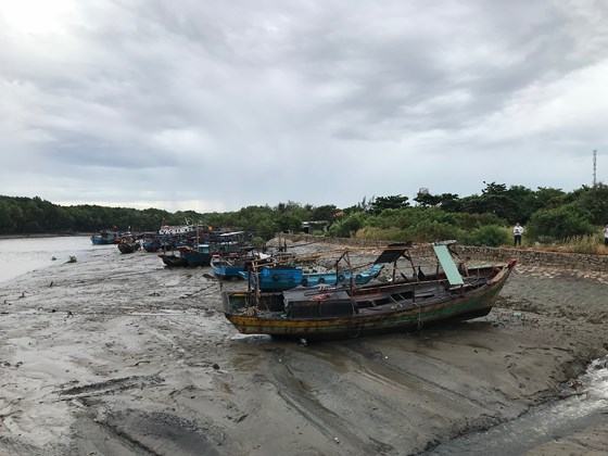 Dự báo bão số 9 vào thẳng TPHCM và sẽ gây ảnh hưởng nặng nề ảnh 2