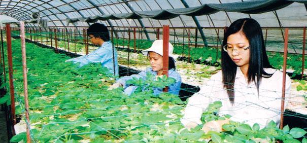 Dự thảo Chiến lược giáo dục Việt Nam 2009 – 2020 (lần 14): Nguồn lực ở đâu?