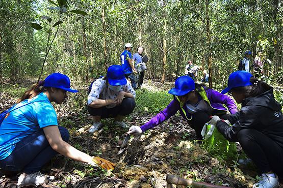 Hỗ trợ tài chính cho dự án bảo vệ môi trường