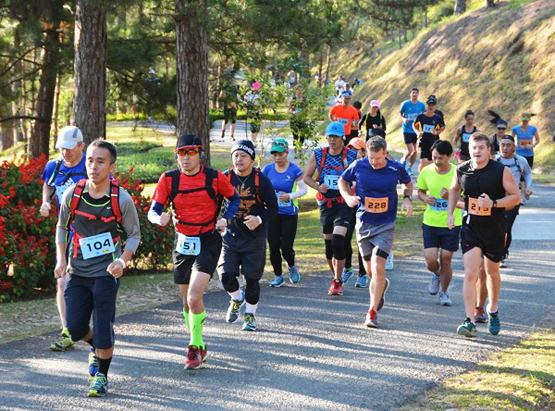 Lâm Đồng: Trên 98% hướng dẫn viên du lịch sử dụng tiếng Anh