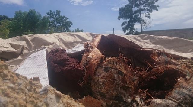 Phạt công ty chôn lấp chất thải trái phép gần 1 tỷ đồng