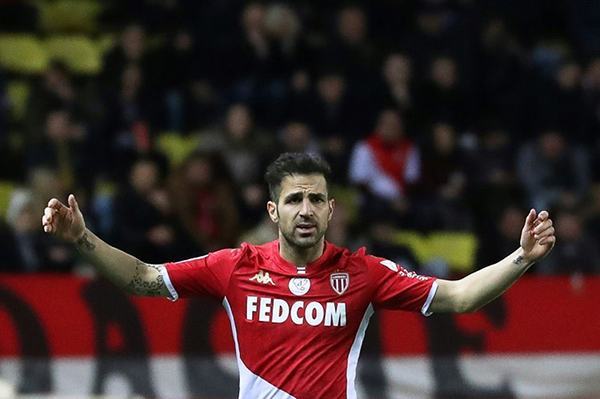 Fabregas chia tay Monaco sau 1 năm tồi tệ nhất sự nghiệp