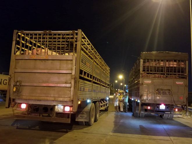 FAO hỗ trợ thuốc khử trùng, cử chuyên gia giúp VN chống dịch tả lợn châu Phi