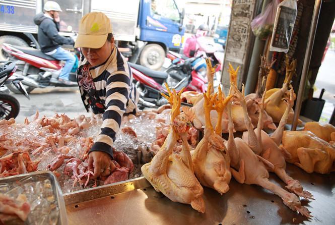 Các loại gà đông lạnh có giá rất rẻ làm ảnh hưởng tới gà nội địa  /// Ảnh: Ngọc Dương