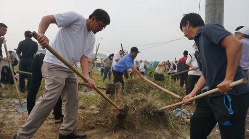 Gần 5.000 người dân Đà Nẵng ra quân làm sạch thành phố đón APEC - ảnh 3