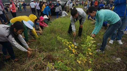 Gần 5.000 người dân Đà Nẵng ra quân làm sạch thành phố đón APEC - ảnh 4