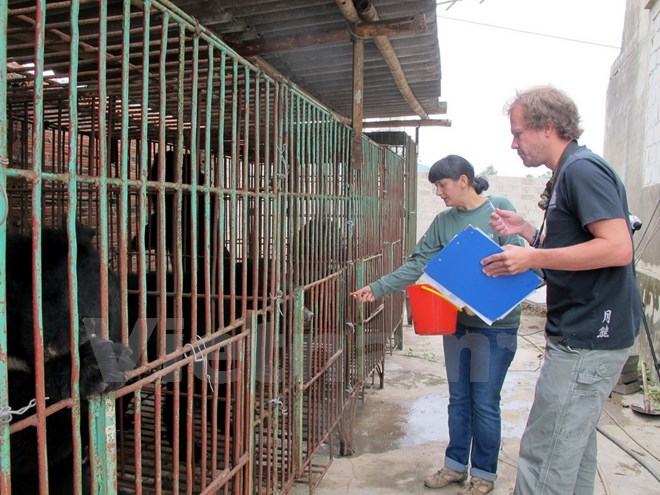 Gấu nuôi tại các trang trại tư nhân ở Quảng Ninh đang kêu cứu