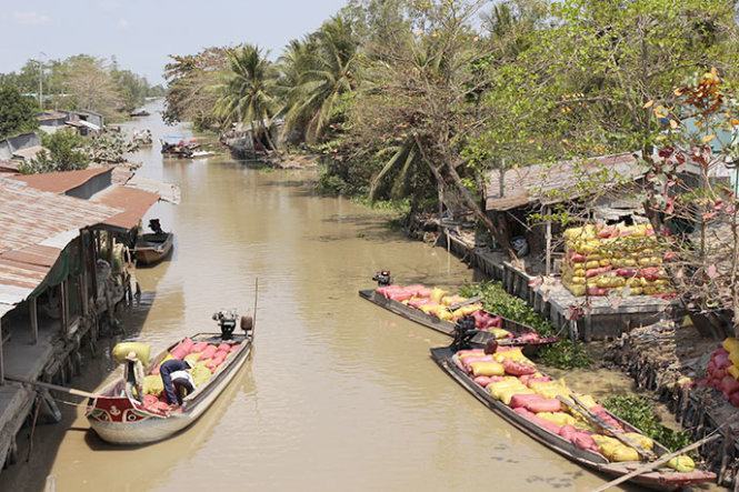 Giá lúa giảm do ghe mắc cạn