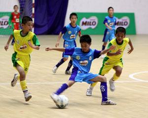 Giải bóng đá Hội khỏe Phù Đổng toàn quốc 2013: 32 đội dự vòng chung kết