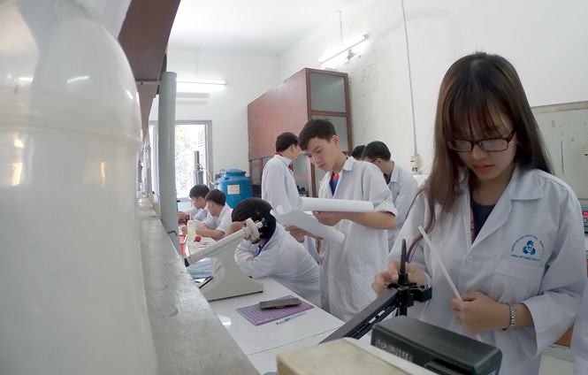 Giải pháp nào cho ĐH quốc gia và ĐH vùng?