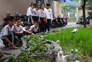 Giáo dục gia đình trong SGK: Cần tích hợp liên môn