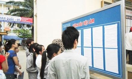 Giấu bằng đỏ đi học nghề