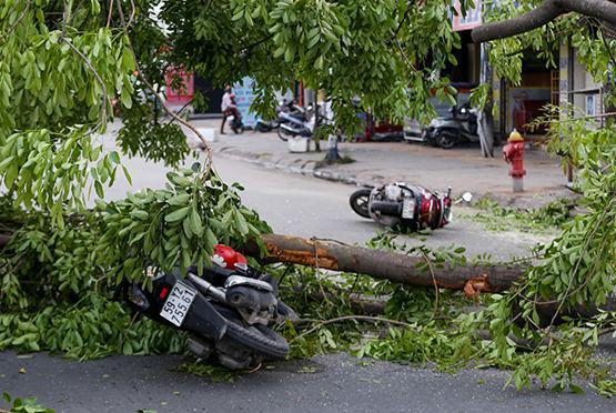 Đề phòng giông lốc khi tham gia giao thông