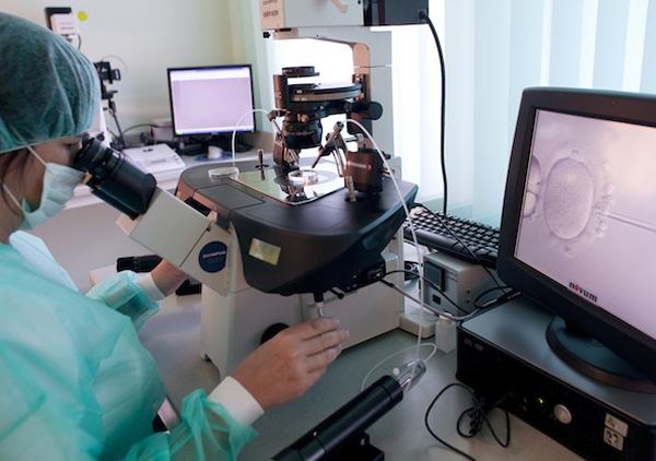 Nhiều phụ nữ mang thai hộ thành công