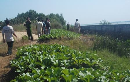 Hai vợ chồng tử nạn trên ruộng rau