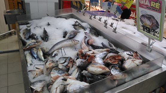 Hải sản ngoại có an toàn?