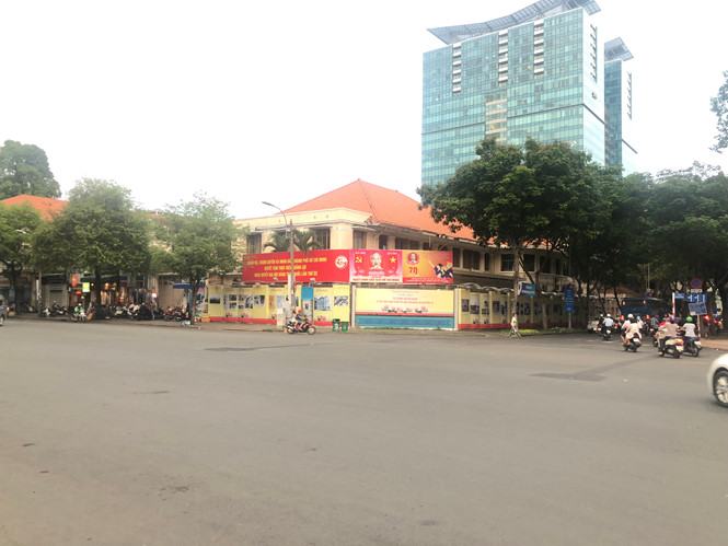 Hẩm hiu đất vàng