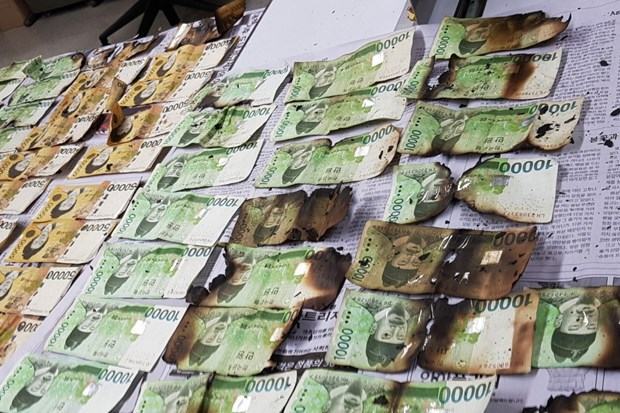 Han Quoc: Hon 1 ty USD bi hu hai do nguoi dan tu y khu trung tien mat hinh anh 1