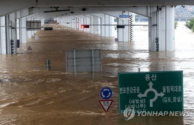 Hàn Quốc: Mưa lớn kỷ lục ở Seoul khiến 7 người thiệt mạng ảnh 10