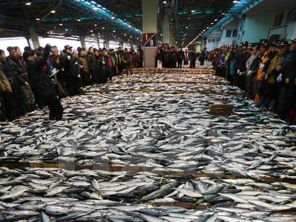 Hàn Quốc-Nhật Bản đạt thỏa thuận về hạn ngạch đánh bắt cá